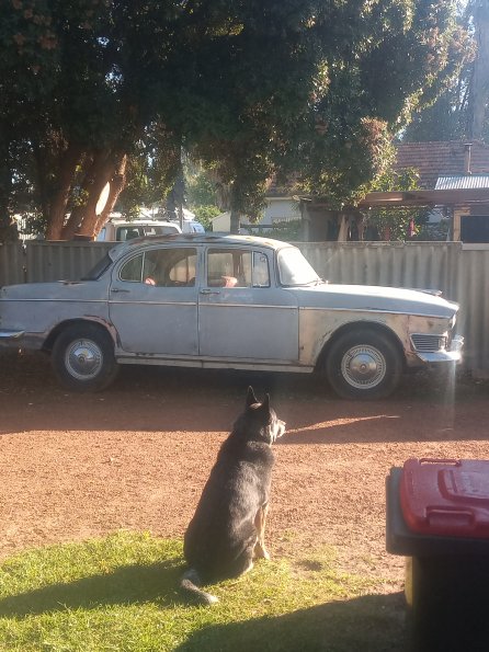 IMG_20220509_085851030