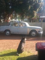 IMG_20220509_085851030