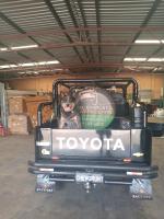 IMG_20210319_153709635