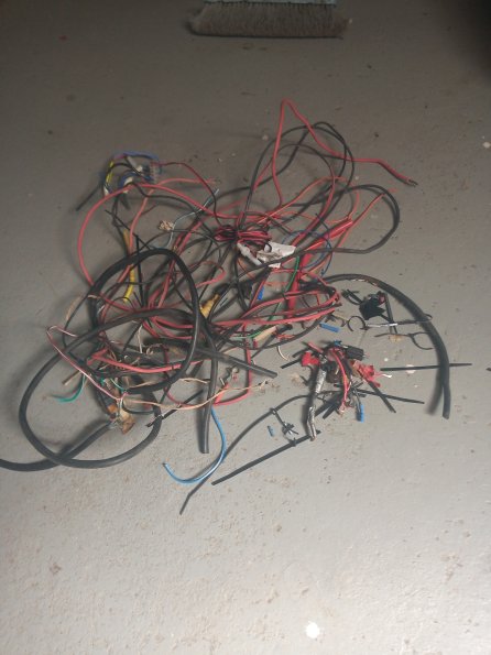 IMG_20230205_144149518